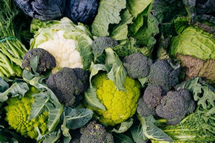 7 Foods That Help Fight Off the Flu, Doctors Say